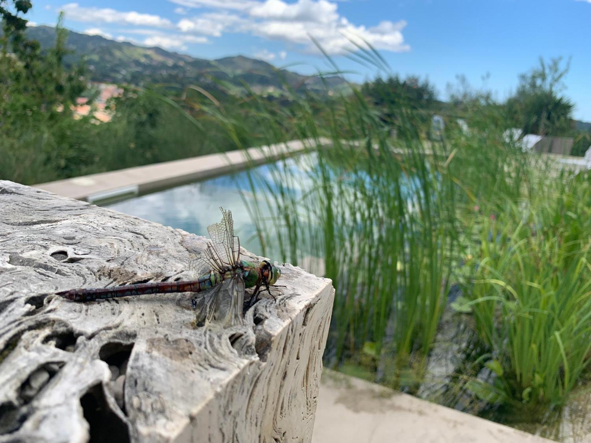 Villa Fortezza Antique Rooms Ascoli Piceno Kültér fotó